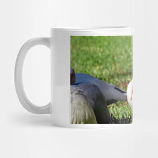 American White Ibis Mug